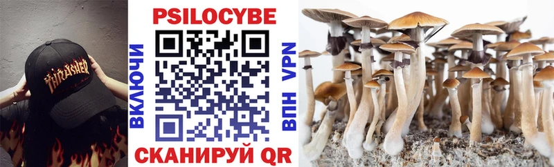 Галлюциногенные грибы Psilocybine cubensis  сайты даркнета телеграм  Зуевка  цены наркотик 